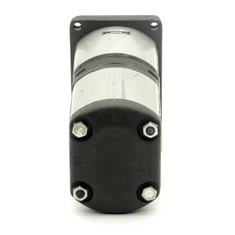 gear pump / double pump 
