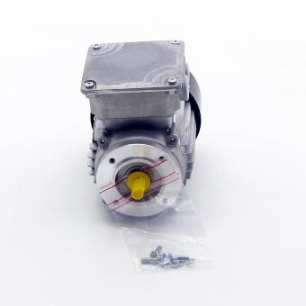 Three-phase Motor 