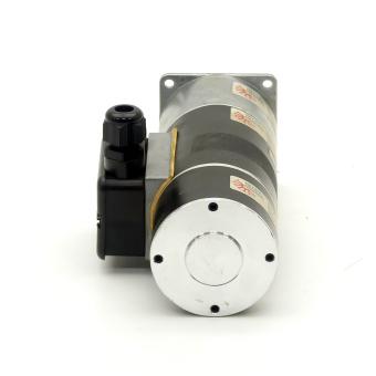 Gear motor 
