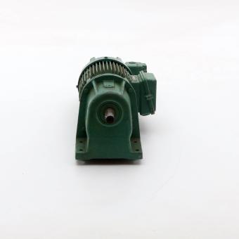 Getriebemotor DKLP 8620V/200 