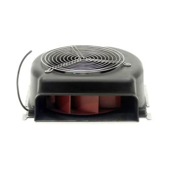 Fan 