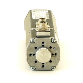 Brushless direct current motor 