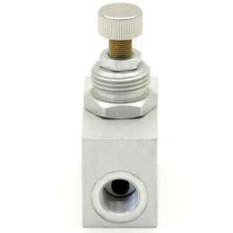 throttle check valve 