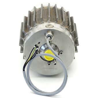 Elektrischer Drehantrieb 