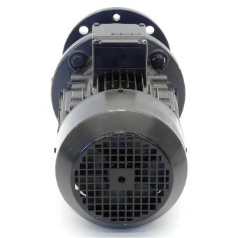 Low-voltage motor 