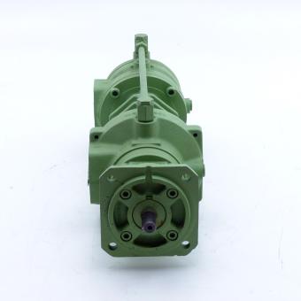 Screw spindle Pump 