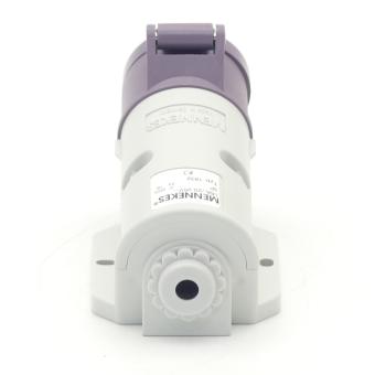 Socket violet 