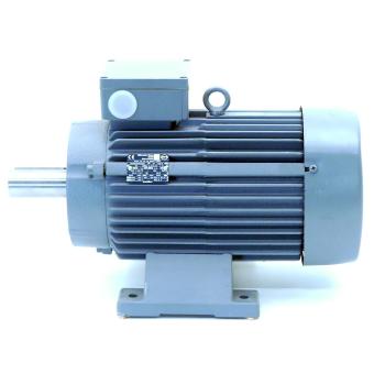 Drehstrommotor K21R 132 SX 2T FNS-K 