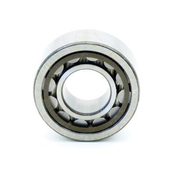 Roller bearing 