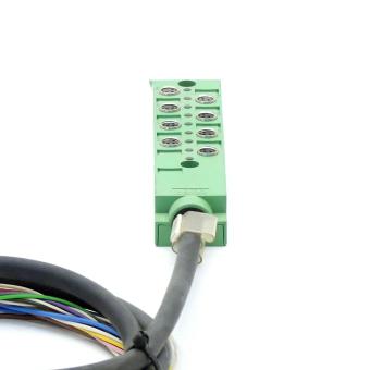 Sensor/trunk cable 