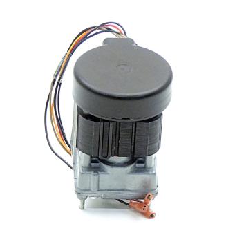 Gear motor 