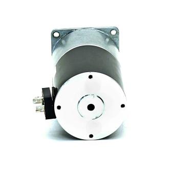 Gear motor 