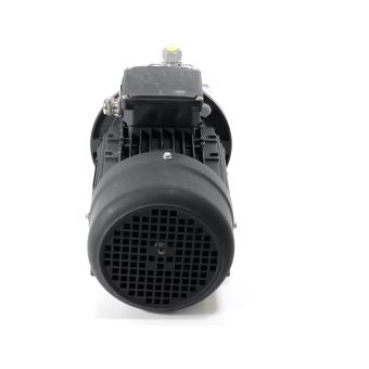 Three-phase motor with pump  New