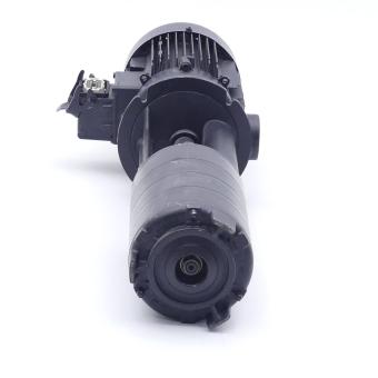 Tauchpumpe 11000191Z3 