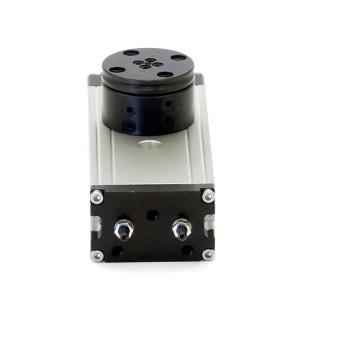 Rotary module 