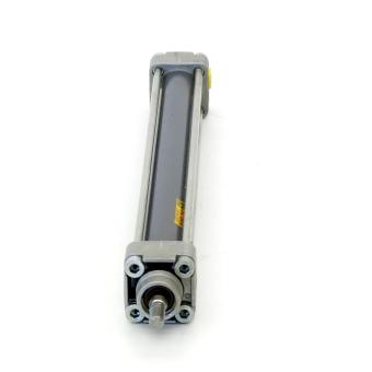 Pneumatic cylinder  