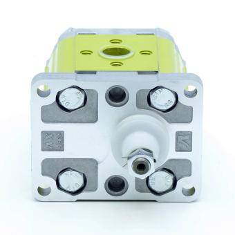 Gear Pump 