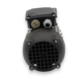 Three-phase motor IEC 60034 