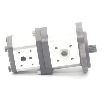 Zahnradpumpe / Doppelpumpe 0 510 767 033  Neuwertig