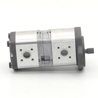 Zahnradpumpe / Doppelpumpe 0 510 565 439 