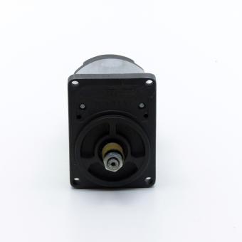 Gear pump 