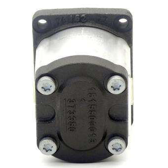 Gear pump 