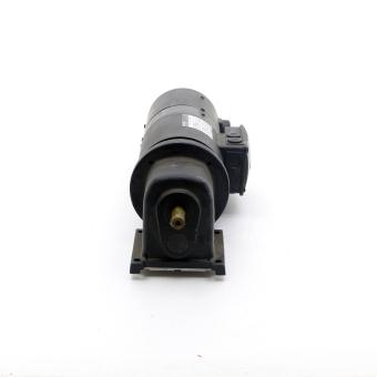 Gearmotor 17 0068 0021 