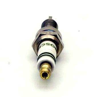 10x Stark Plug  New FS