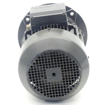 Low-voltage motor 
