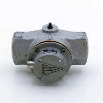 Gas Valve  