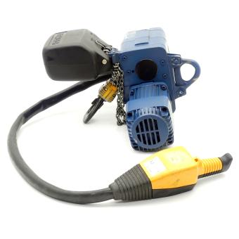 Chain hoist 100 kg 