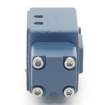 Check valve 