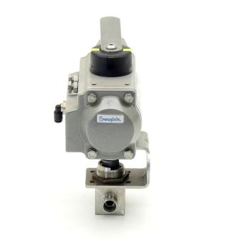 Pneumatic control head 