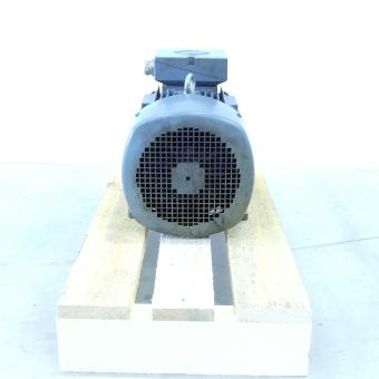 Drehstrommotor DINTEN 60034-1F 