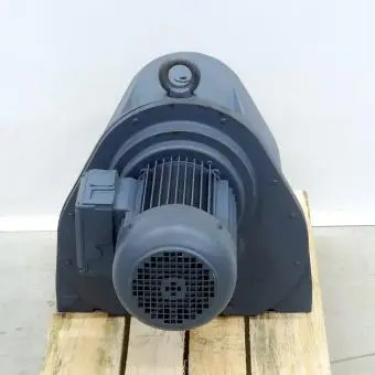Gear motor 