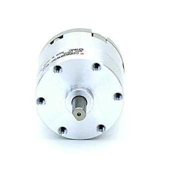 Pneumatic rotary actuator 