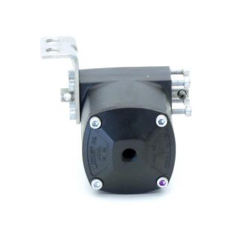 Pneumatic control head 