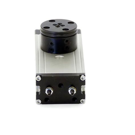 Rotary module  