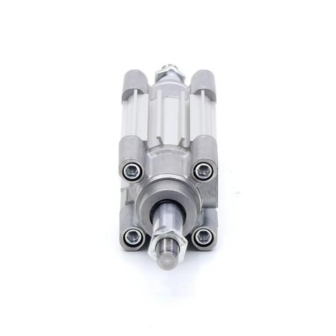 Pneumatic cylinder  