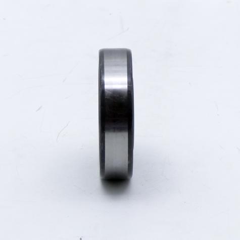 Cylindrical Roller Bearing  New FS