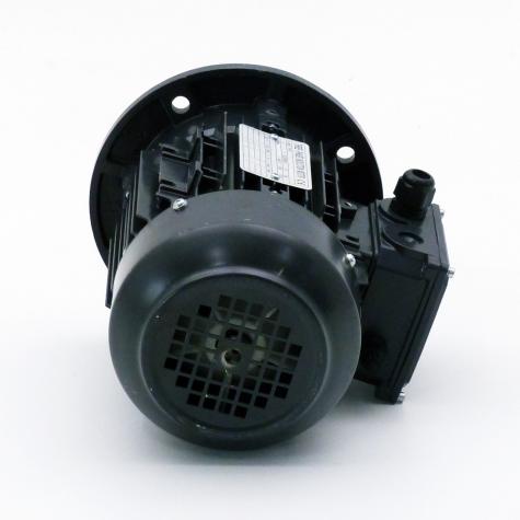 Three Phase Motors  New