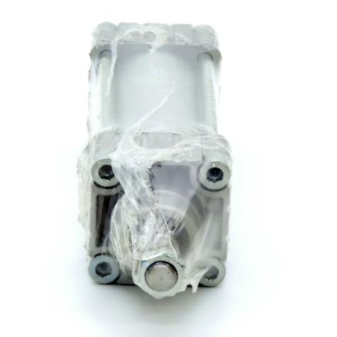 Pneumatic cylinder  