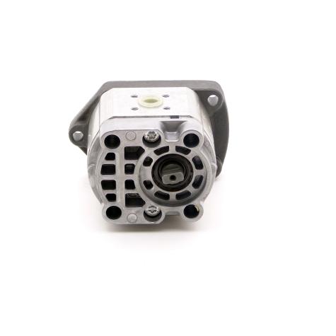 Gear Pump  New