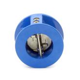 Check Valve TYPE 895, DN50 EN-GJL-250 New