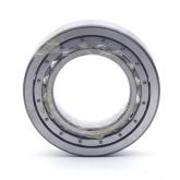 Cylindrical roller bearings  New FS