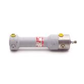 Hydraulikzylinder 25 x 80  Gebraucht