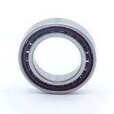 Ball Bearing  