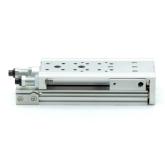 Mini slide MSC-DA-020-0100-HG-HM-HM-02-M-S-0-0-ACC New