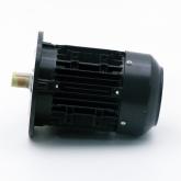 Three Phase Motors  New