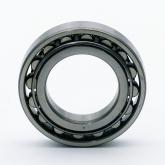 Cylindrical Roller Bearing  New FS